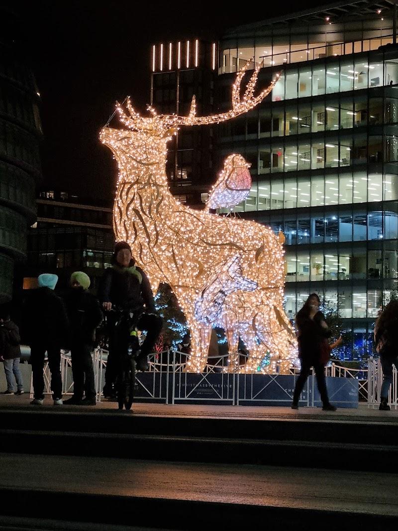 Photo of food from Casa Cubano